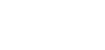 ZiNG